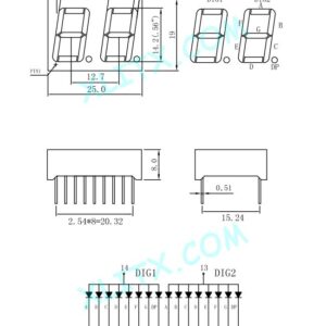 CA 7-SEG 2DIGIT-R 19×25