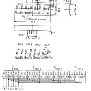 CA 7-SEG 4DIGIT-R 19×50